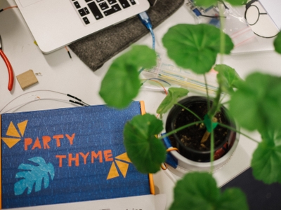 featured image thumbnail for post Party Thyme